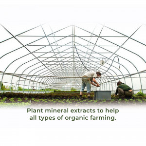 Two farmers working with plants inside a greenhouse, promoting organic farming.