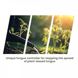 Image of a hand using a spray bottle to treat a plant, showcasing a fungus controller.