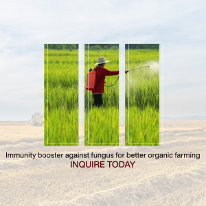 Farmer spraying crops with a fungicide in a green field