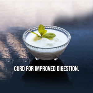 Bowl of curd garnished with mint leaves