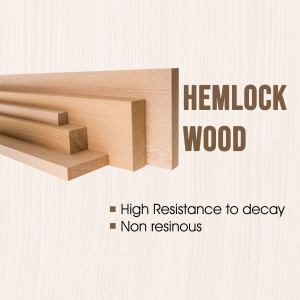 Assortment of Hemlock wood pieces with text highlighting its properties.