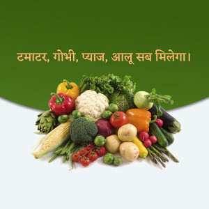 A colorful assortment of fresh vegetables including tomatoes, cauliflower, onions, potatoes, and more.