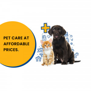 A cute kitten and puppy with pet care icons and text promoting affordable prices.