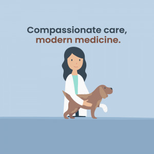 Illustration of a veterinarian examining a dog.