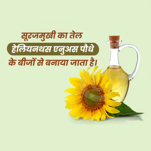 Image of sunflower oil in a bottle with a sunflower flower