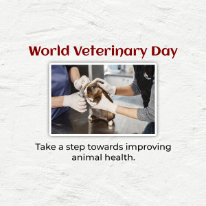 Veterinarian examining a rabbit