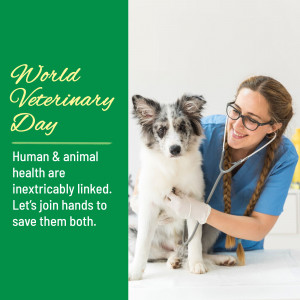 Veterinarian examining a dog on World Veterinary Day