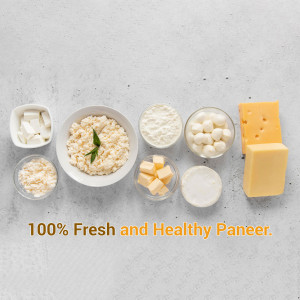 Assortment of different types of paneer and cheese