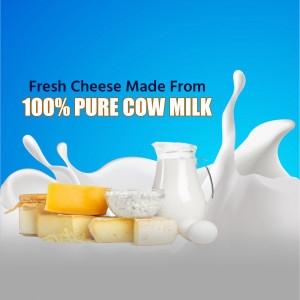 Image of fresh cheese made from 100% pure cow milk with milk splash and cheese cubes.