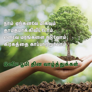 Hands holding soil with a small tree growing in it, representing environmental conservation.