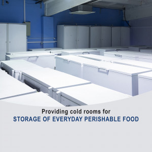 Rows of white freezers in a large cold storage room