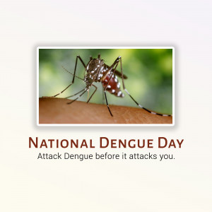 Aedes aegypti mosquito on skin with National Dengue Day message