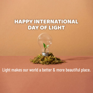 Image celebrating International Day of Light with a plant growing inside a lightbulb.
