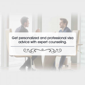 Two professionals discussing visa options with a client.