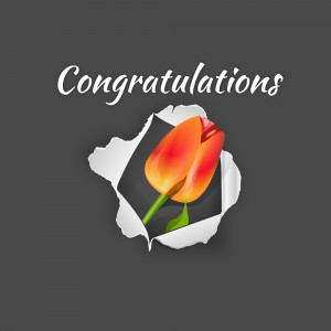 A red tulip breaking through a torn paper background with the word 'Congratulations'.