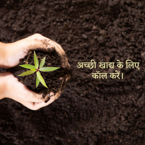 A pair of hands cupping soil with a small green seedling growing inside.