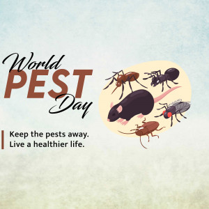 Illustration of common household pests for World Pest Day