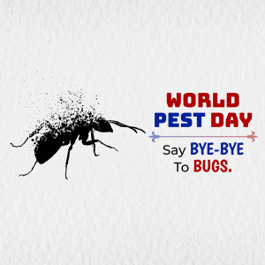 Illustration of an ant with text 'World Pest Day - Say Bye-Bye to Bugs'