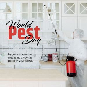 Pest control worker spraying insecticide in a kitchen for World Pest Day