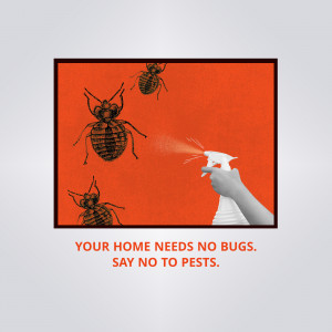 Image of a hand spraying insecticide at bugs with the text 'Your home needs no bugs. Say no to pests.'