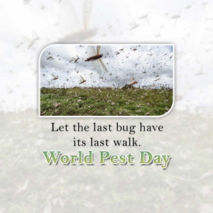 Image promoting World Pest Day with a dragonfly flying over a field.