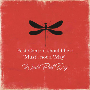 Silhouette of a dragonfly over a red textured background with text promoting pest control for World Pest Day.