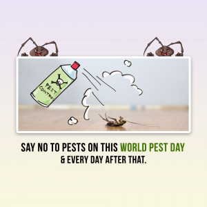 Illustration of pest control spray eliminating a cockroach with text 'Say No to Pests'