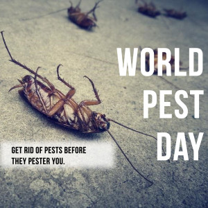 Close-up of cockroaches with text promoting World Pest Day and pest control.