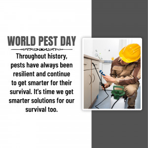 Pest control worker spraying insecticide in a home