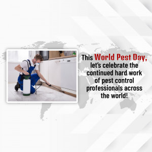 Pest control professional spraying in a kitchen with World Pest Day message.