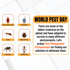 Image illustrating common household pests like cockroaches, rodents, ants, bed bugs, spiders, and termites.
