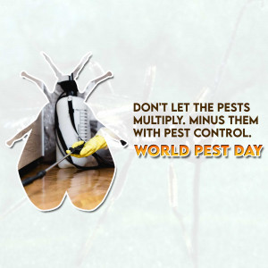 Image promoting pest control services for World Pest Day, featuring a sprayer shaped like an insect.