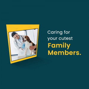 A veterinarian examining a beagle dog in a clinic.