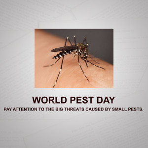 A mosquito landing on human skin with text 'World Pest Day'
