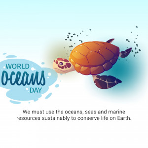 Illustration of a sea turtle swimming with the text 'World Oceans Day'