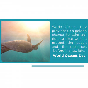 Sea turtle swimming underwater with text about World Oceans Day