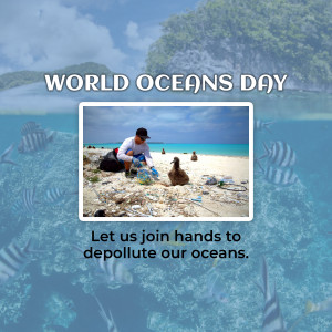 People cleaning up plastic waste on a tropical beach for World Oceans Day.