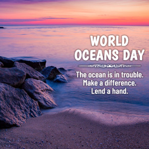 Image promoting World Oceans Day with a sunset over the ocean and rocks in the foreground.