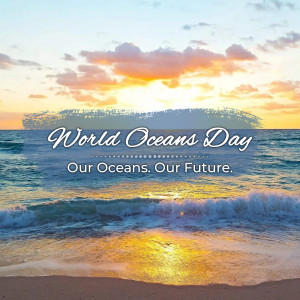 A scenic sunset over the ocean with text celebrating World Oceans Day.