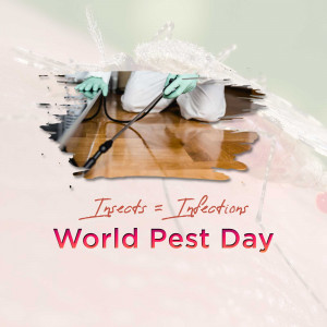 Pest control worker spraying insecticide through a hole in a wall with text 'Insects = Infections' and 'World Pest Day'