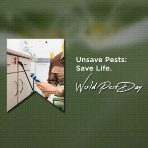 Pest control worker spraying insecticide in a kitchen cabinet