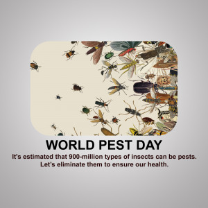 Image depicting various insects with text 'World Pest Day' and a message about pest control.