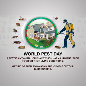 Illustration depicting pest control services and the importance of pest management.