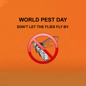 Image depicting a fly inside a 'no' symbol with the text 'World Pest Day - Don't Let The Flies Fly By.'