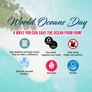 Infographic illustrating six ways to save the ocean from home for World Oceans Day.