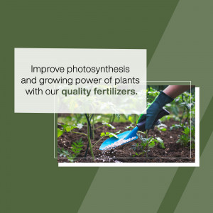 Hand using a trowel to apply fertilizer to plants in a garden