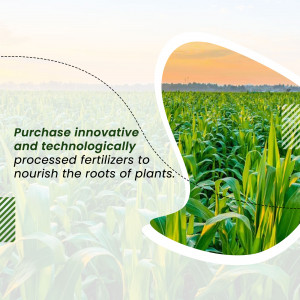 Cornfield with text promoting innovative fertilizers
