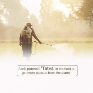 A farmer with a sprayer in a field.