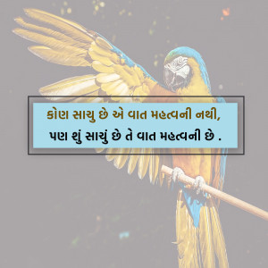 A vibrant parrot perched on a branch with a Gujarati quote.