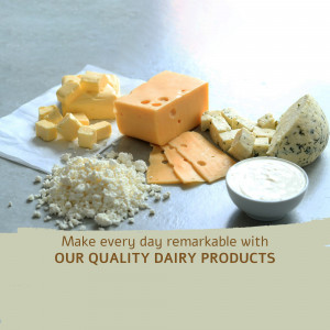 Various types of cheese and dairy products on a gray surface